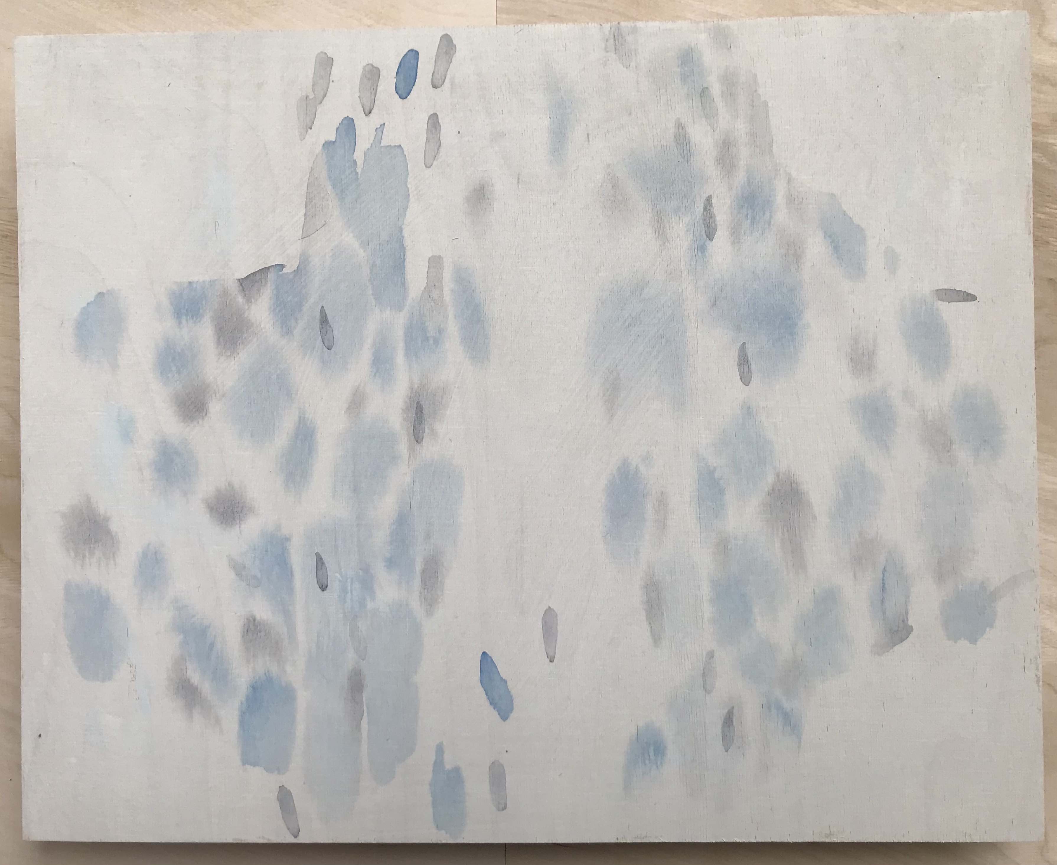 section of a bird of prey as seen from below