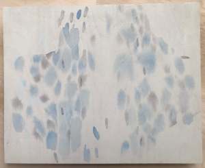 section of a bird of prey as seen from below