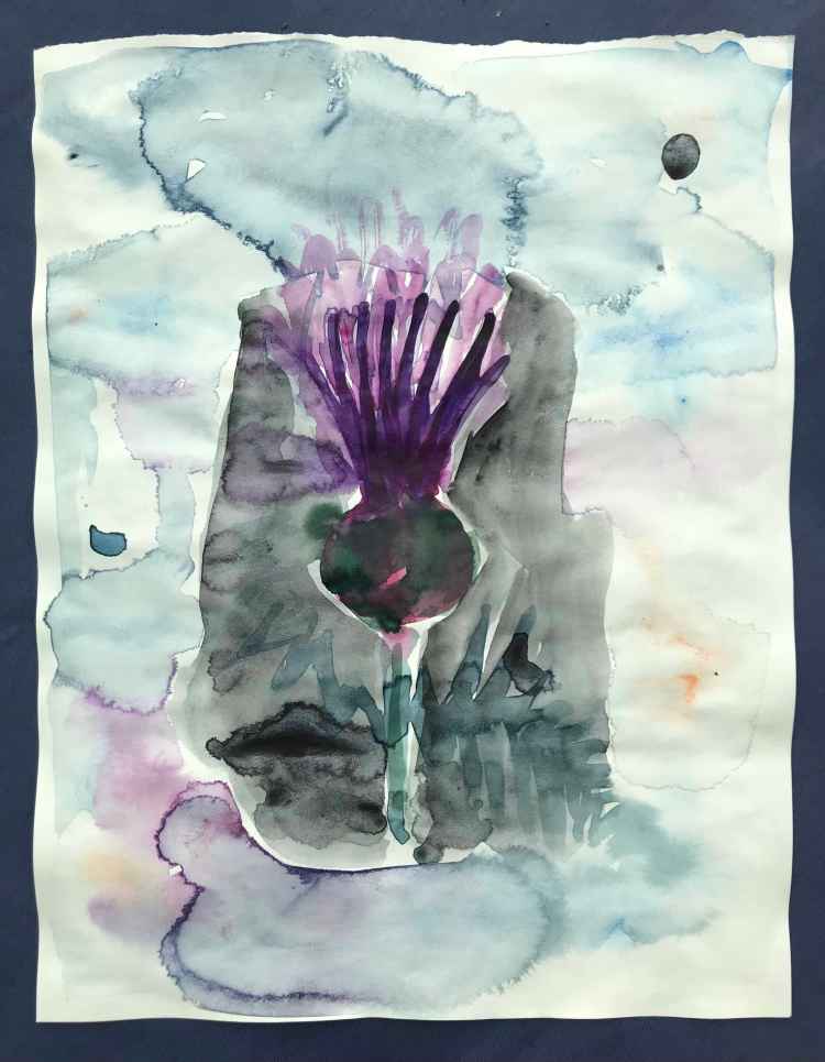 thistle, abstractly rendered in watercolour